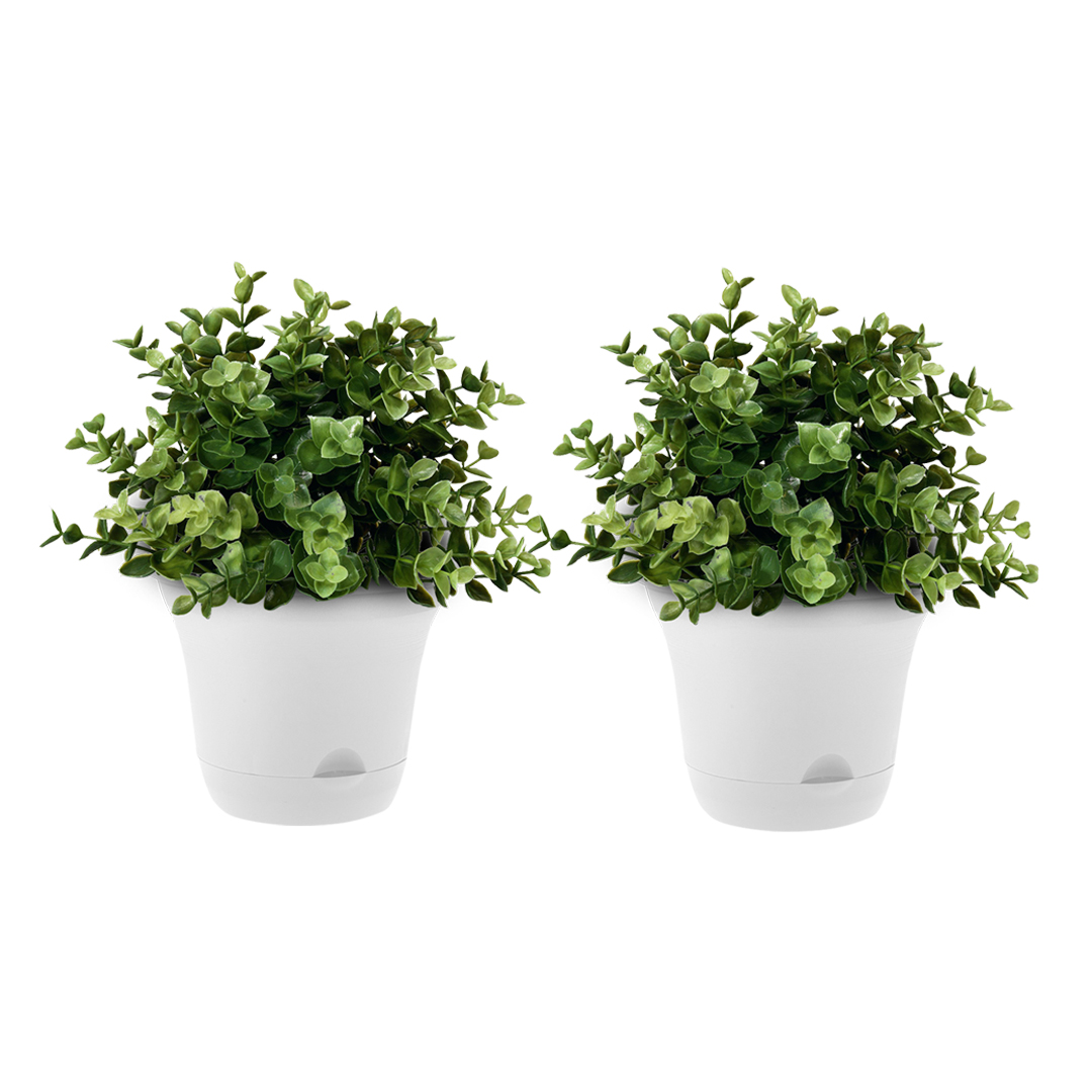 SOGA 19.5 cm White Plastic Plant Pot Self Watering Planter Flower Bonsai Indoor Outdoor Garden Decor Set of 2, Home & Living, Kitchen & Dining, Kitchen Tools & Utensils, Graters, Peelers & Slicers, ,  - AU DEPOT 1